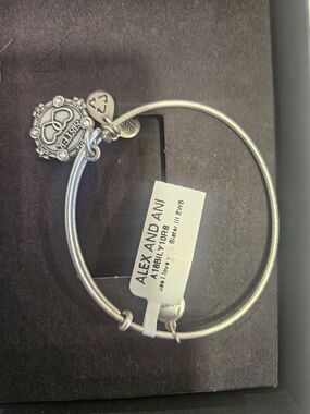 Alex and Ani Silver Because I Lovr You Sister Heart & Emblem Expandable Bracelet